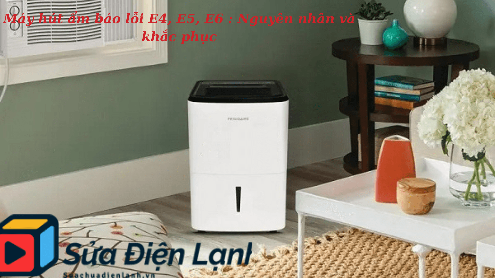 Máy hút ẩm báo lỗi E4, E5, E6 : Nguyên nhân và khắc phục 1 Máy hút ẩm báo lỗi E4, E5, E6 : Nguyên nhân và khắc phục